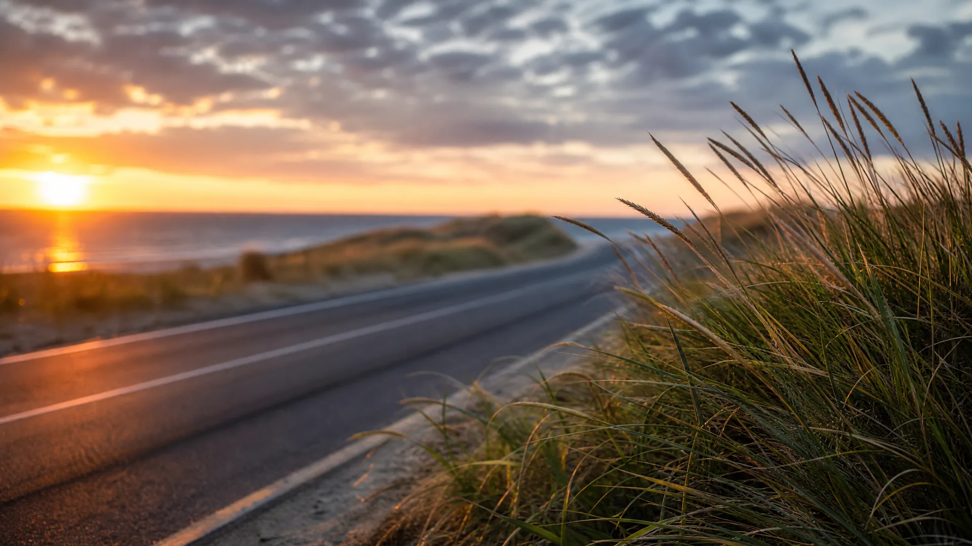 A two-lane asphalt road with painted white lines curves along a coastal dune covered in tall grass, with the sea and a low sun near the horizon in the background.